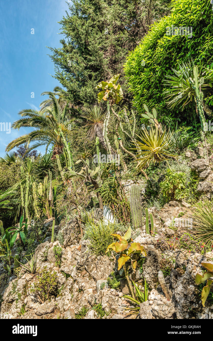 Rock Garden am Botanischen Garten von Villa Carlotta, Tremezzina, Comer See, Lombardei, Italien Stockfoto