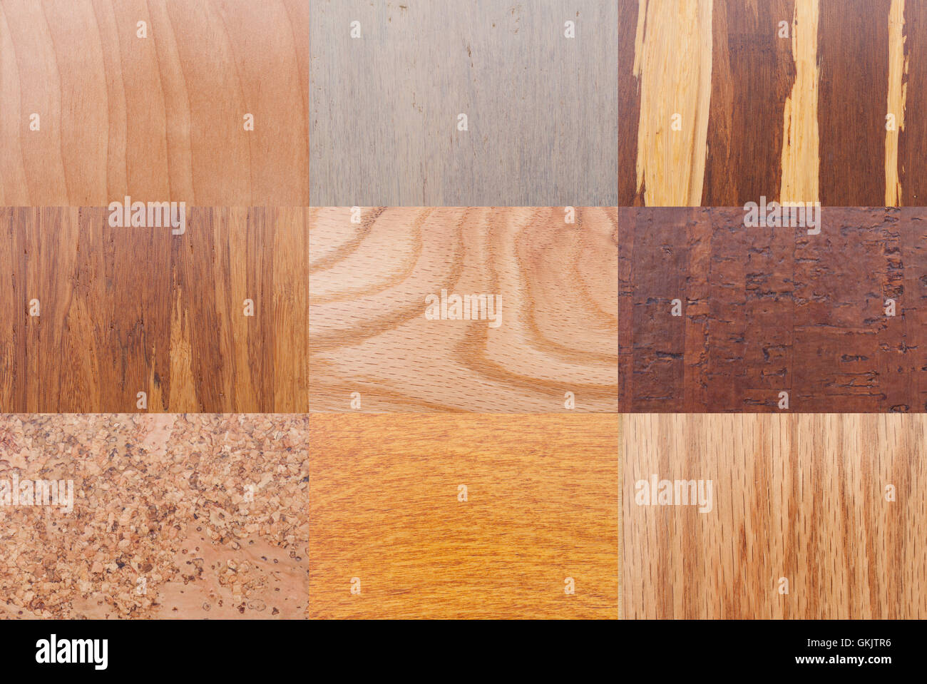 Verschiedenen Baum Art Holzmaserung Mustern und Texturen. Stockfoto