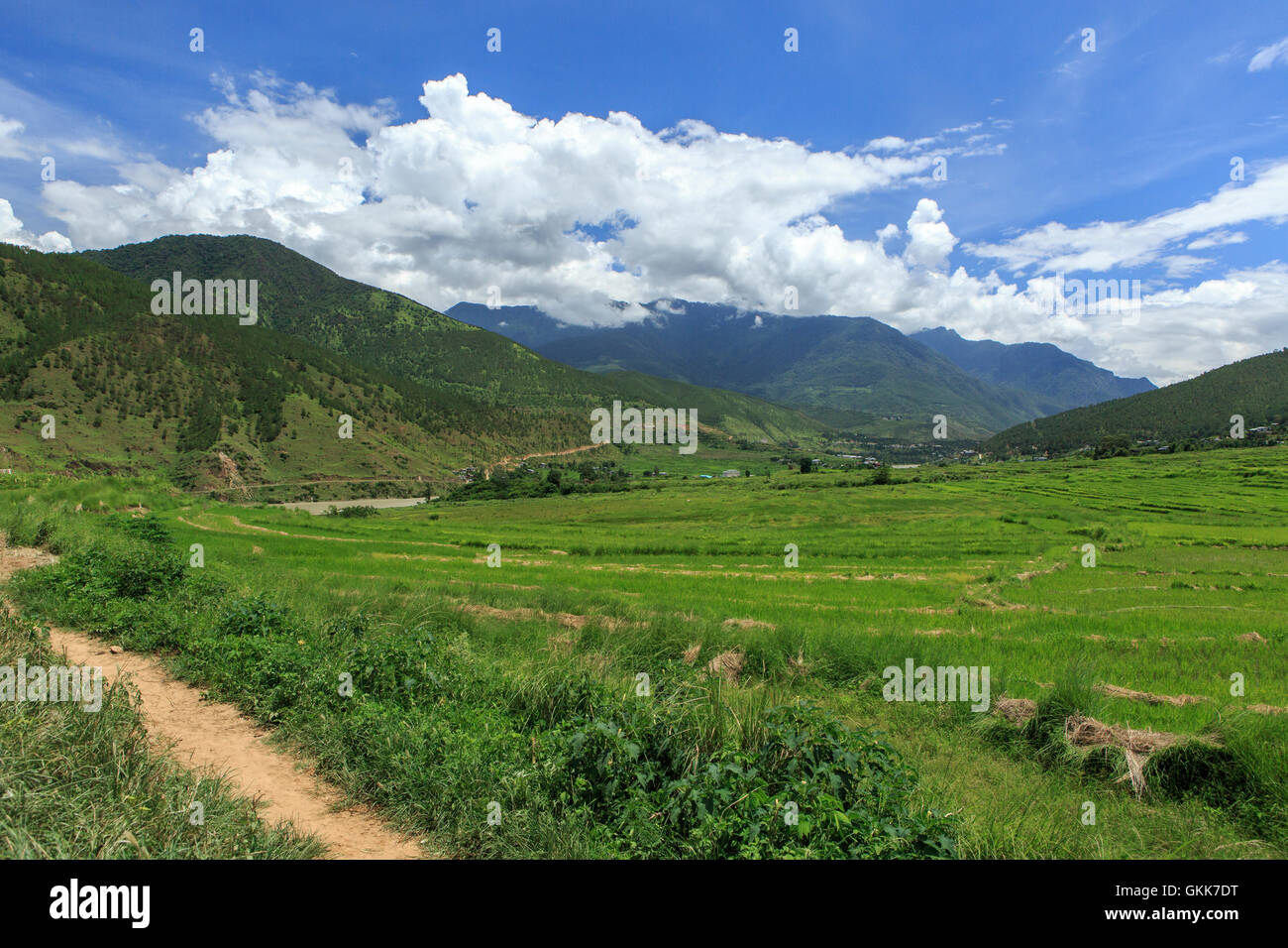 Punakha Tal, Bhutan Stockfoto