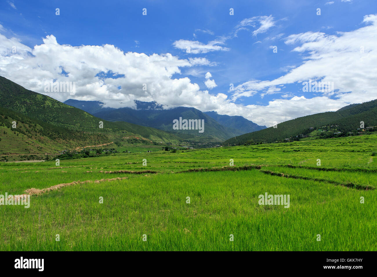 Punakha Tal, Bhutan Stockfoto