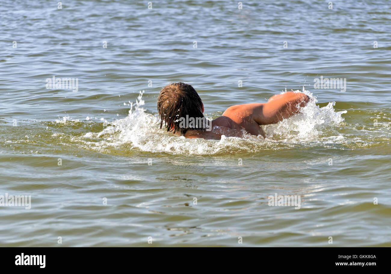 Junge Männchen Schwimmen im Meer/Ozean Stockfoto