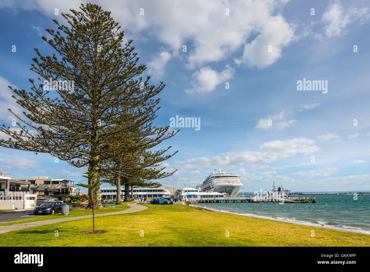 Ein Kreuzfahrtschiff in den Hafen von Tauranga angedockt - Pilot Bucht Tauranga, Neuseeland. Stockfoto