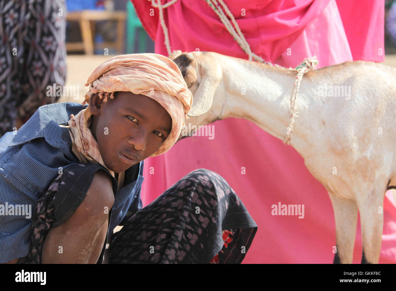 Ein somalischer junge hält eine Ziege bereit, in Beletweynes Viehmarkt zu verkaufen, wie Muslime Eid al-Fitr am 28. Juli in Somalia feiern. AMISOM Foto / Ilyas A. unterstützt Stockfoto