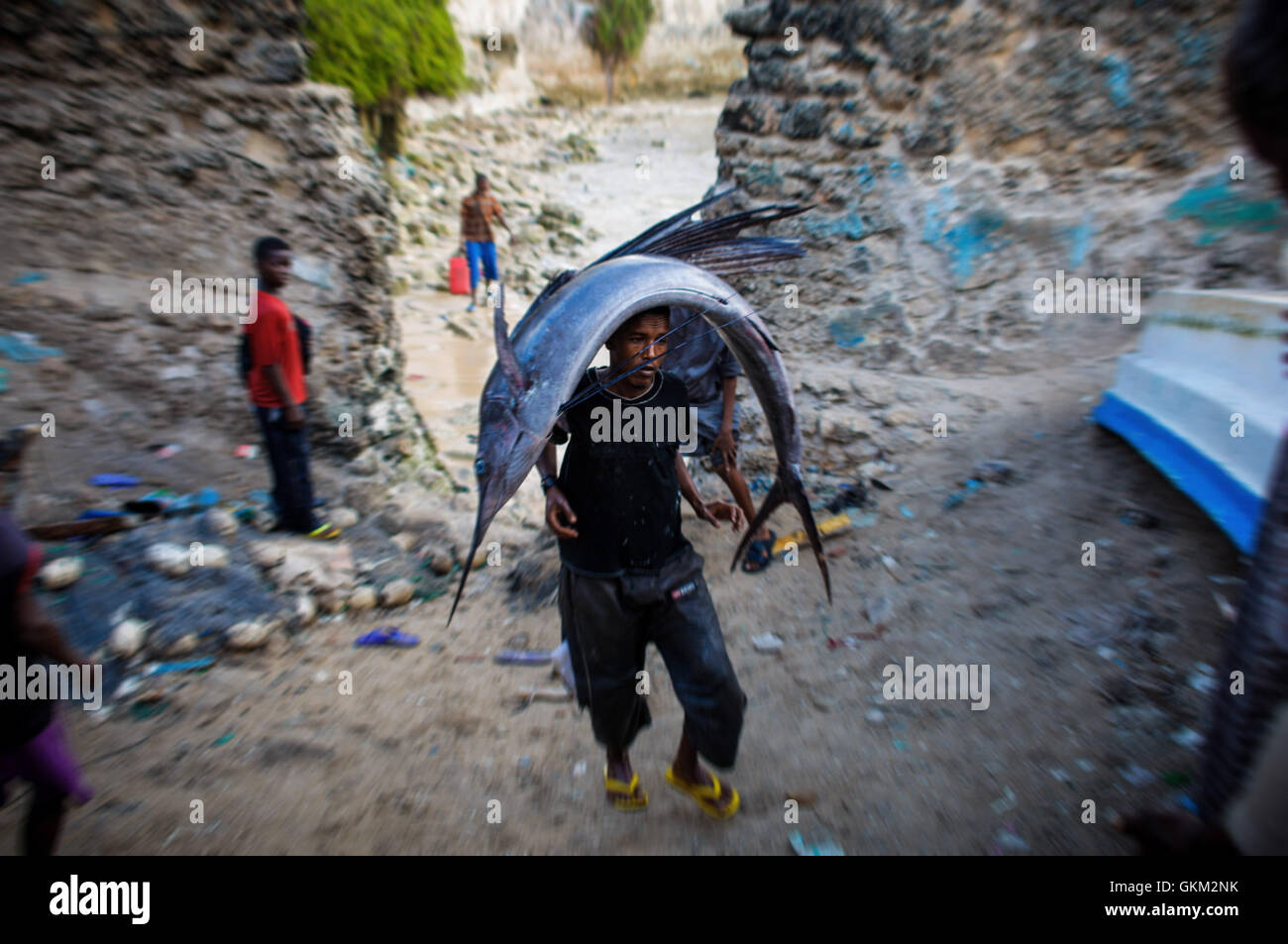 Ein somalischer Mann trägt am 16. März 2013 einen großen Segelfisch auf dem Kopf zum Fischmarkt im Bezirk Xamar Weyne in Mogadischu. Fischer bringen ihren täglichen Fang aus dem Indischen Ozean mit, um auf dem geschäftigen Markt, einem wichtigen Teil der Wirtschaft Mogadischus und des wachsenden Exporthandels, verkauft zu werden. Stockfoto