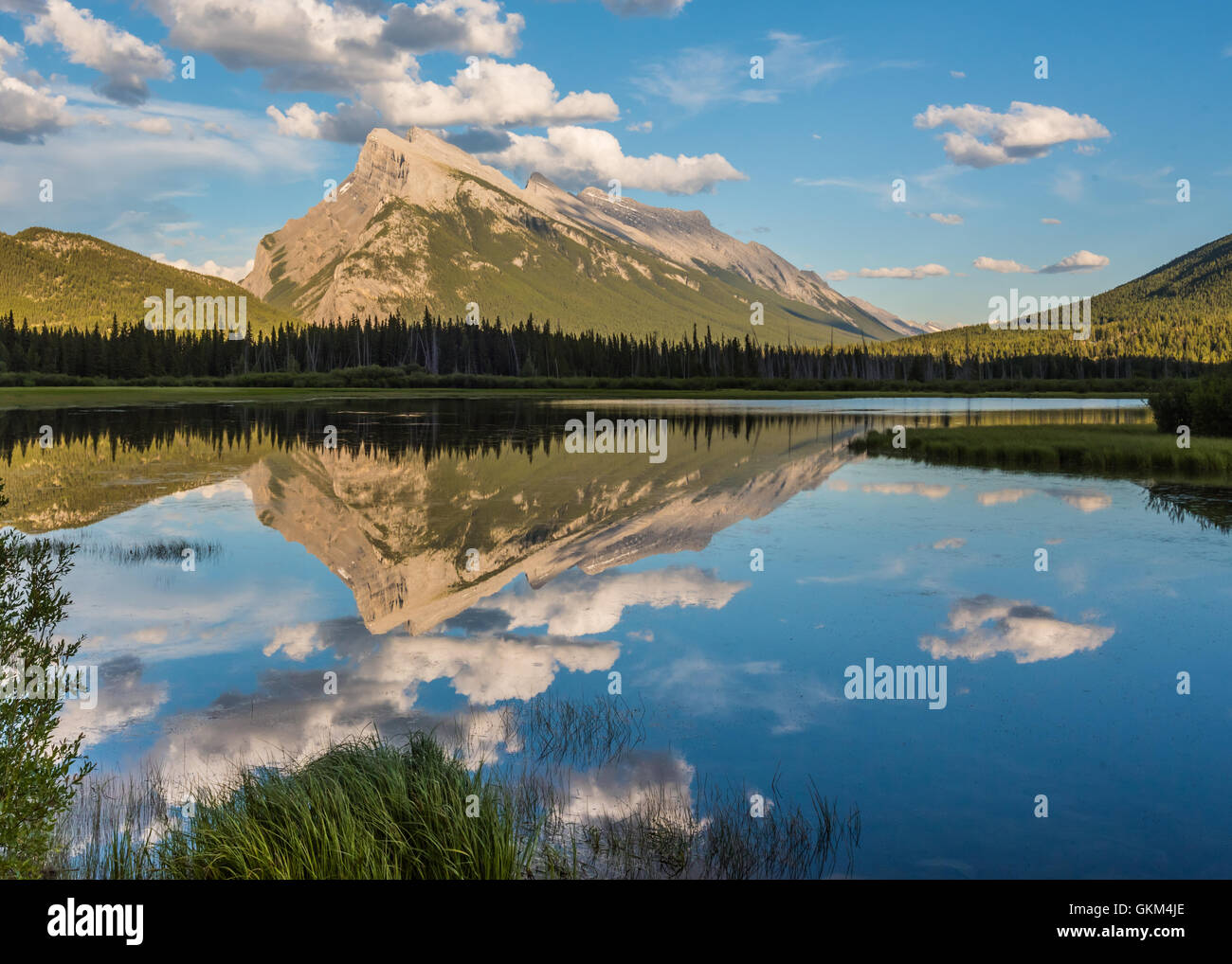 Mt. Rundle spiegelt in Vermilion Seen an einem ruhigen Sommertag Stockfoto