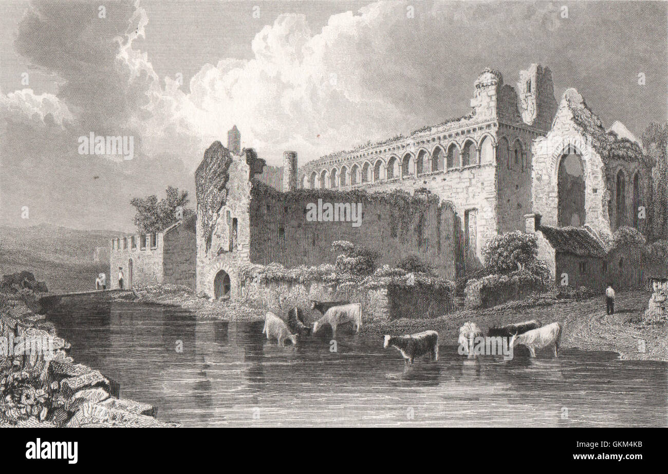 Des Bischofs Palast, St. Davids, Pembrokeshire, Wales, durch Henry Gastineau, 1835 Stockfoto