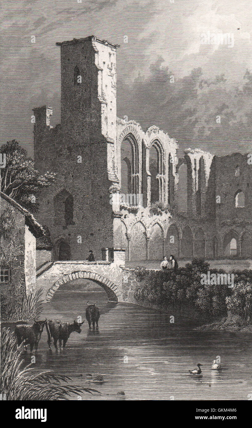 St. Marys College, St. Davids, Pembrokeshire, Wales, durch Henry Gastineau, 1835 Stockfoto