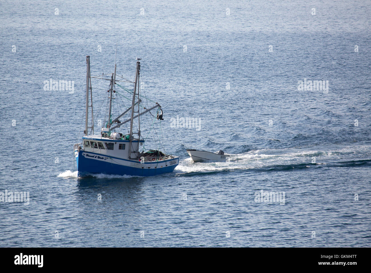 Ein Fischerboot vor der Küste von Neufundland und Labrador, Canada.The gezeigt Schiff begibt sich ins Hafen nach Herzenslust. Stockfoto