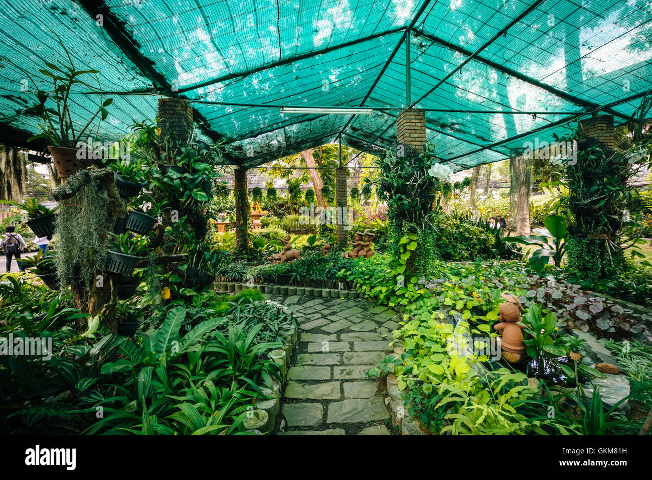 Garten im Santiphap Park in Bangkok, Thailand. Stockfoto