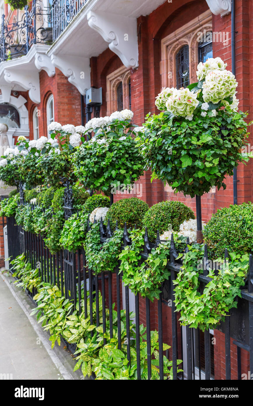 schön dekorierte Zaun vor der herrschaftlichen historischen Gebäude in Kensington, London Stockfoto