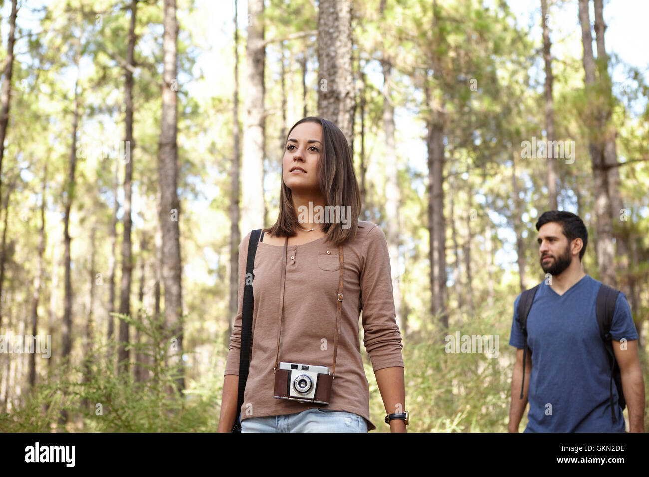 Zwei Freunde auf der Suche nach etwas in einer Kiefer-Baum-Plantage in der späten Nachmittagssonne beim tragen legere Kleidung Stockfoto