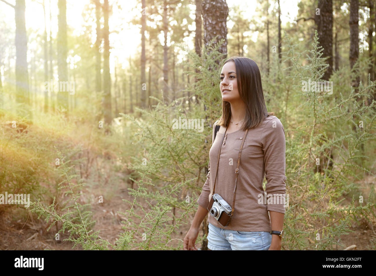 Junges Mädchen Wandern in einem Wald aus Kiefern mit einer Kamera beim Tragen von einem braunen T-shirt und shorts Stockfoto