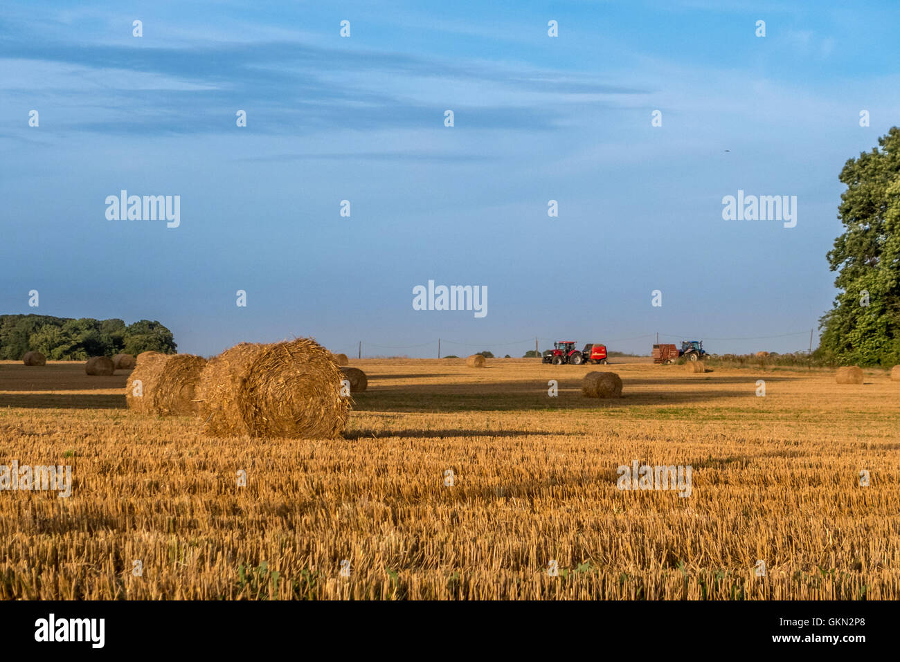 Heuballen in einen Acker in Nordfrankreich. Stockfoto