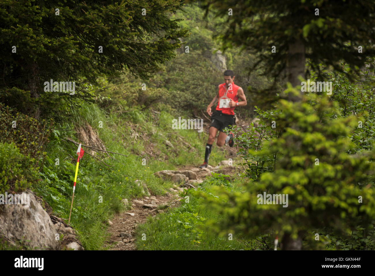 Tony Moulai - Chamonix-Trail-running-Marathon 2016 Stockfoto