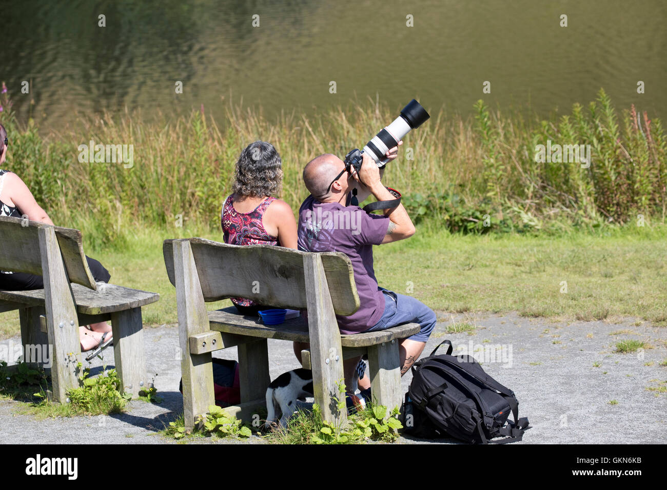 Frau und Mann, sitzend fotografieren Vögel mit großen Teleobjektiv Bwlch Nant Yr Arian Visitor Centre Ceredigion Mid Wales Stockfoto