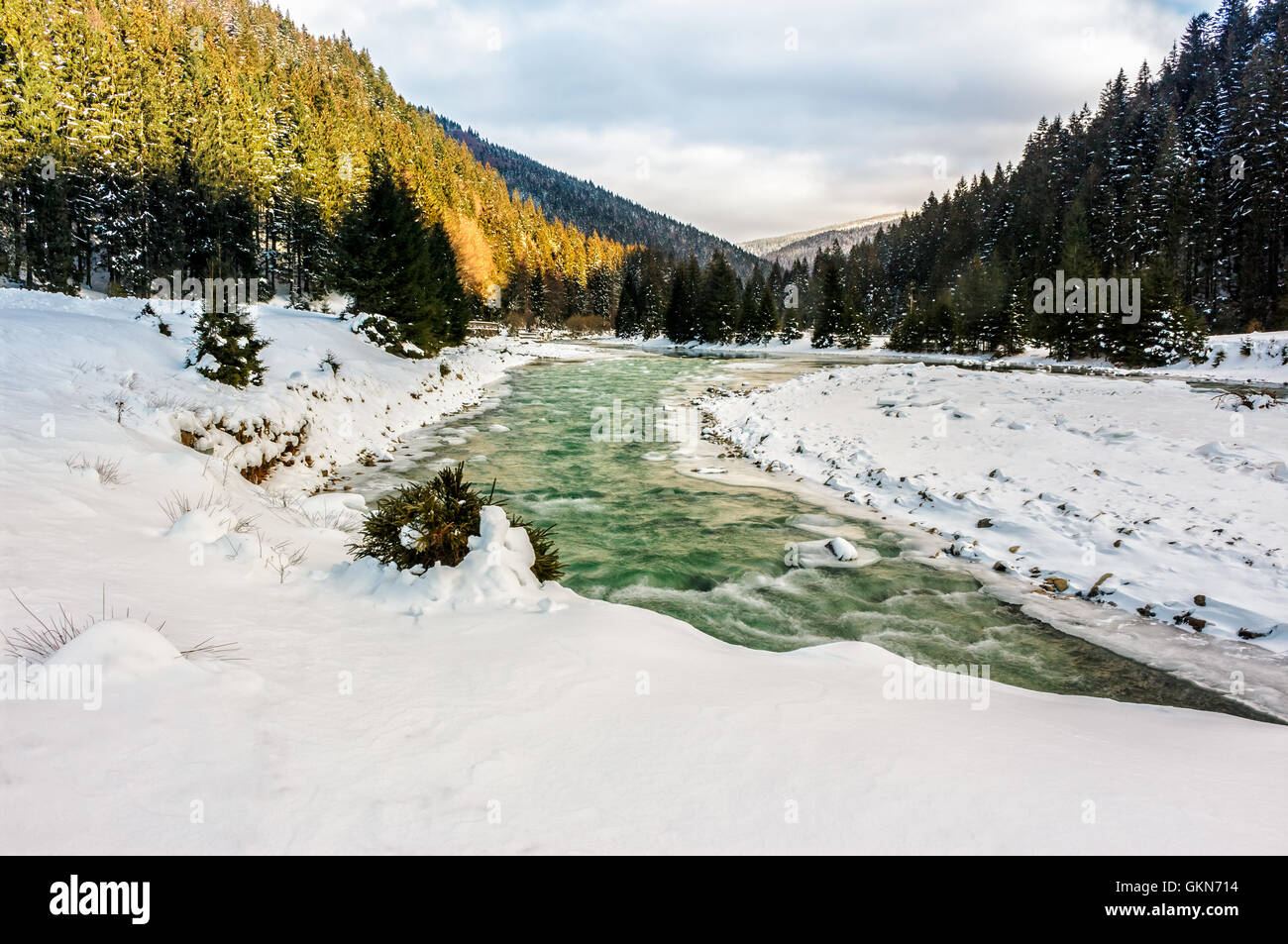 gefrorene Bergfluss unter Fichtenwald mit Schnee auf dem Boden in Karpaten vor Sonnenaufgang Stockfoto