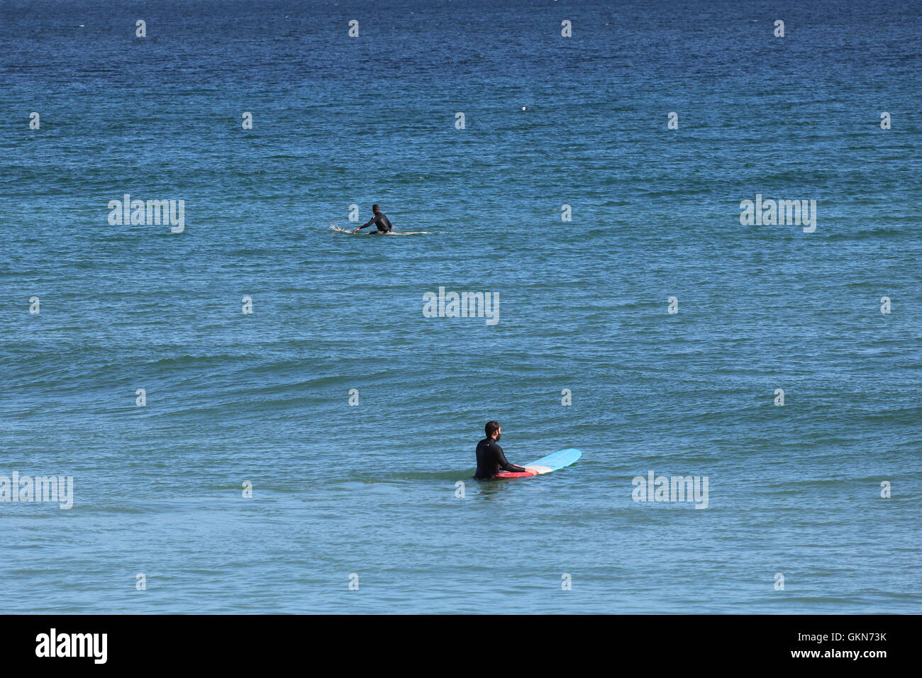 Standup Paddle Surfer Kapstadt Südafrika Stockfoto