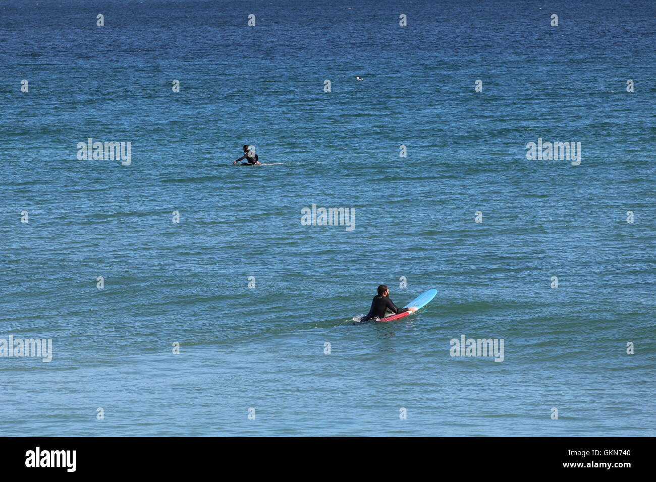 Standup Paddle Surfer Kapstadt Südafrika Stockfoto