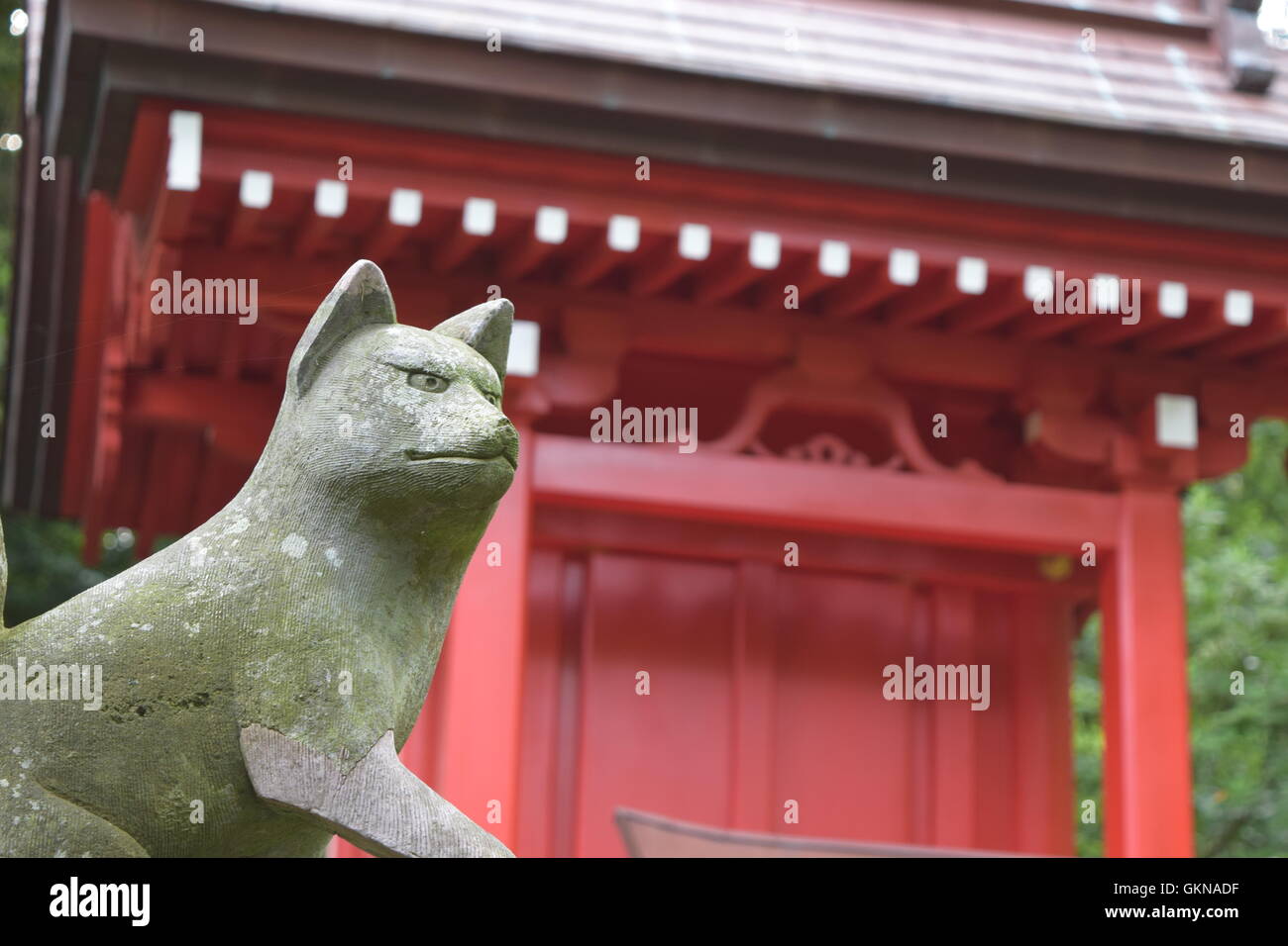 Fox-Statue in japanischen Schrein Stockfoto