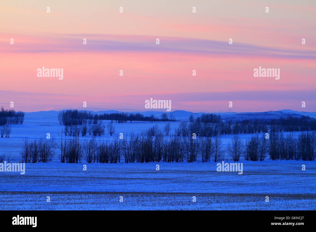 Winter-Szene in Hulun Buir, Innere Mongolei Stockfoto