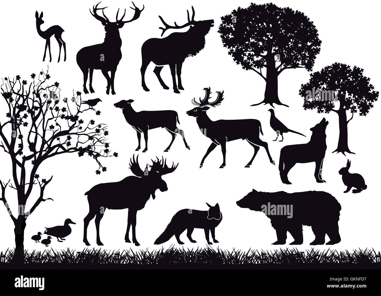 Wald und Tierwelt Stock Vektor