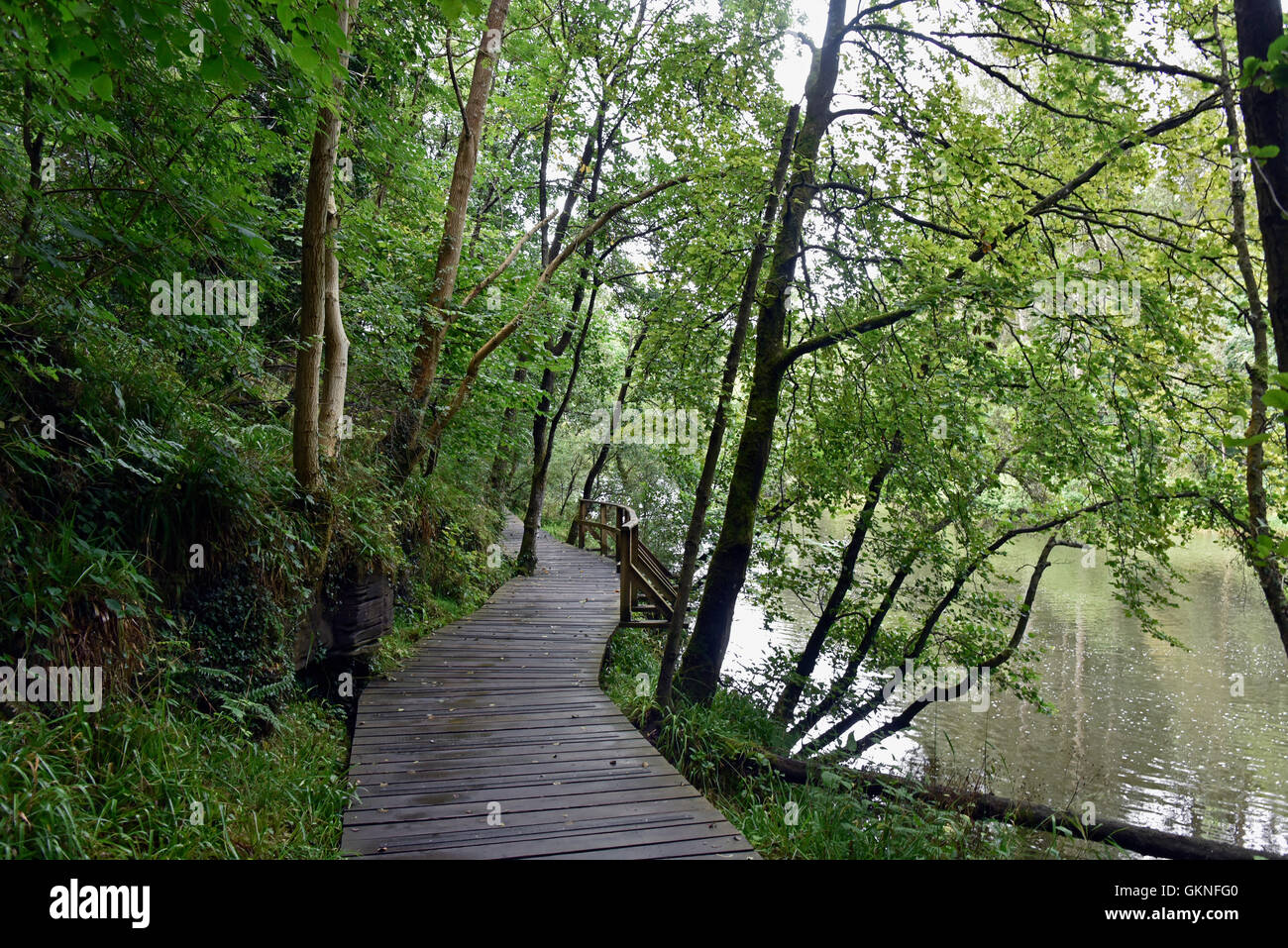 Clyde Tal Stockfotos Und Bilder Kaufen Alamy