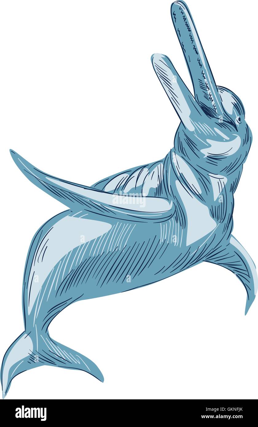 Zeichnung Skizze Stil Darstellung der Amazonas-Delfin oder Boto isoliert eine weit verbreitete Gruppe von voll Meeressäugern, die ihren Wohnsitz ausschließlich in süß- oder Brackwasser Wasser nach oben gesetzt auf weißen Hintergrund. Stock Vektor