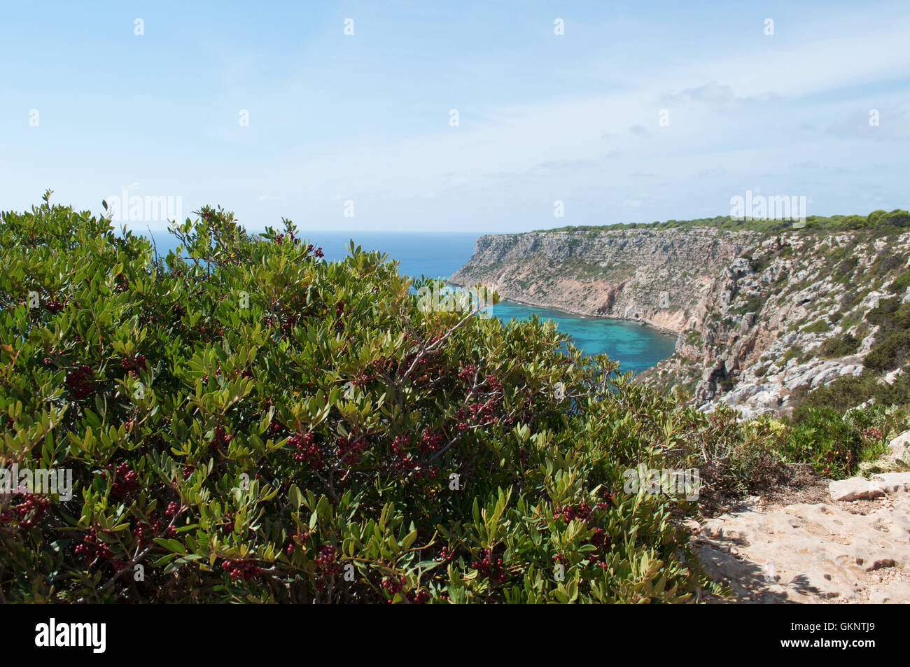Formentera: Blick auf Mittelmeer und die mediterrane Macchia, gesehen von La Mola Klippe an der äußersten östlichen Zipfel der Insel Stockfoto