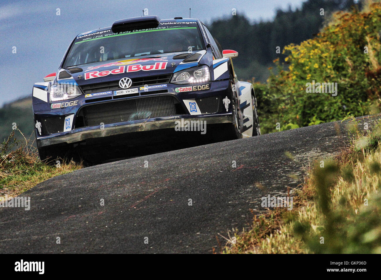 Trier, Gwrmany. 21. August 2016. WRC ADAC Rallye Deutschland, Finaltag. Jari - Matti Latvala (FIN) in ihre Mikka Antilla (FIN) - Volkswagen Polo WRC Credit: Action Plus Sport/Alamy Live News Stockfoto