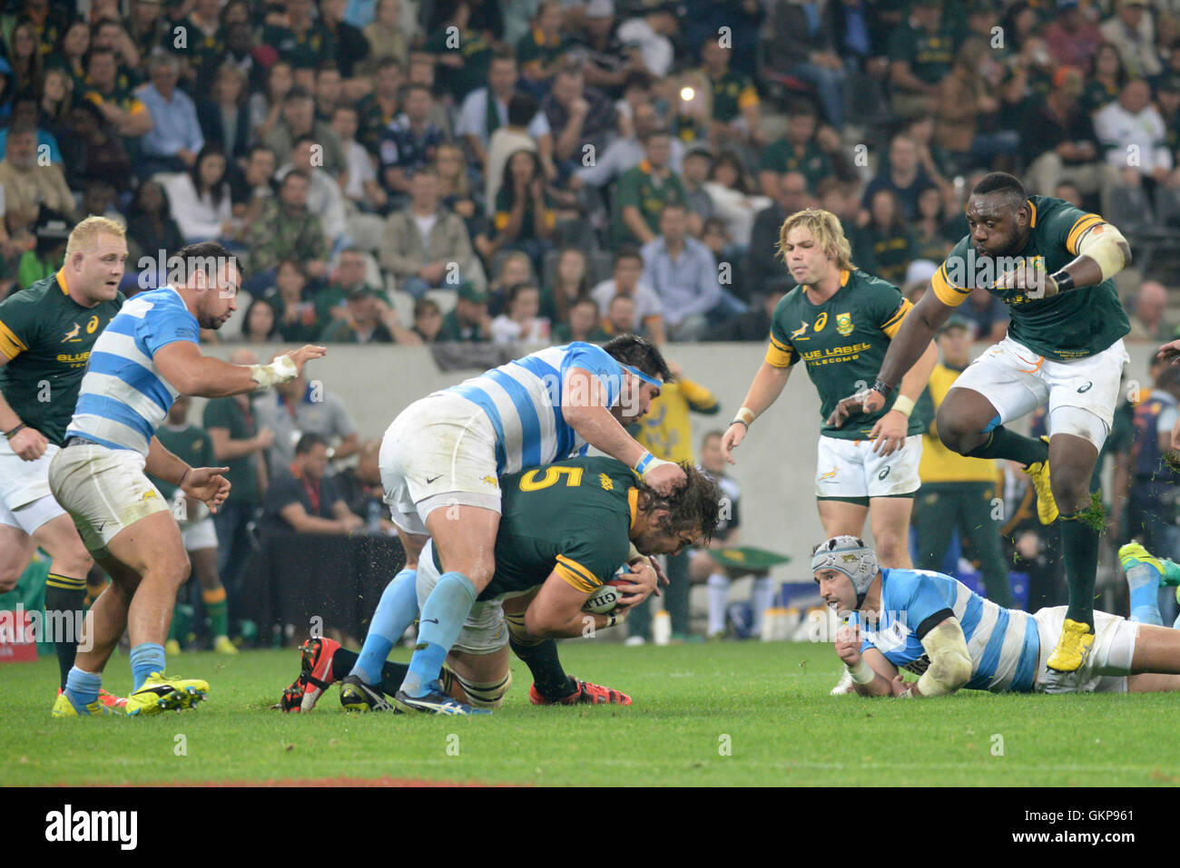Nelspruit, Südafrika. 20. August 2016. Die South African Rugby-Nationalmannschaft gegen die Pumas im Mbombela-Stadion. Stockfoto