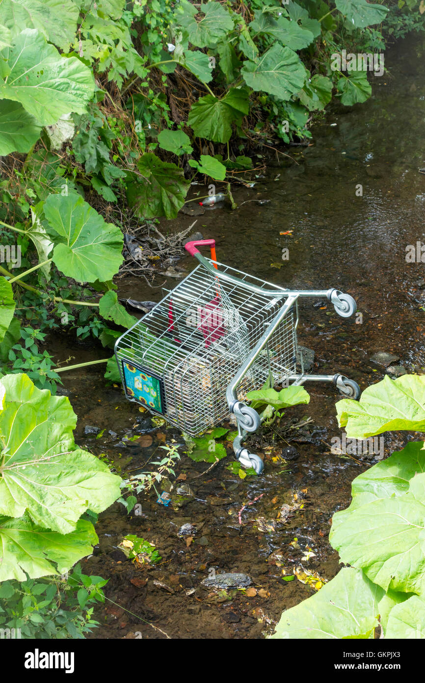 Ein Supermarkt Einkaufswagen in einem kleinen Bach geworfen Stockfoto