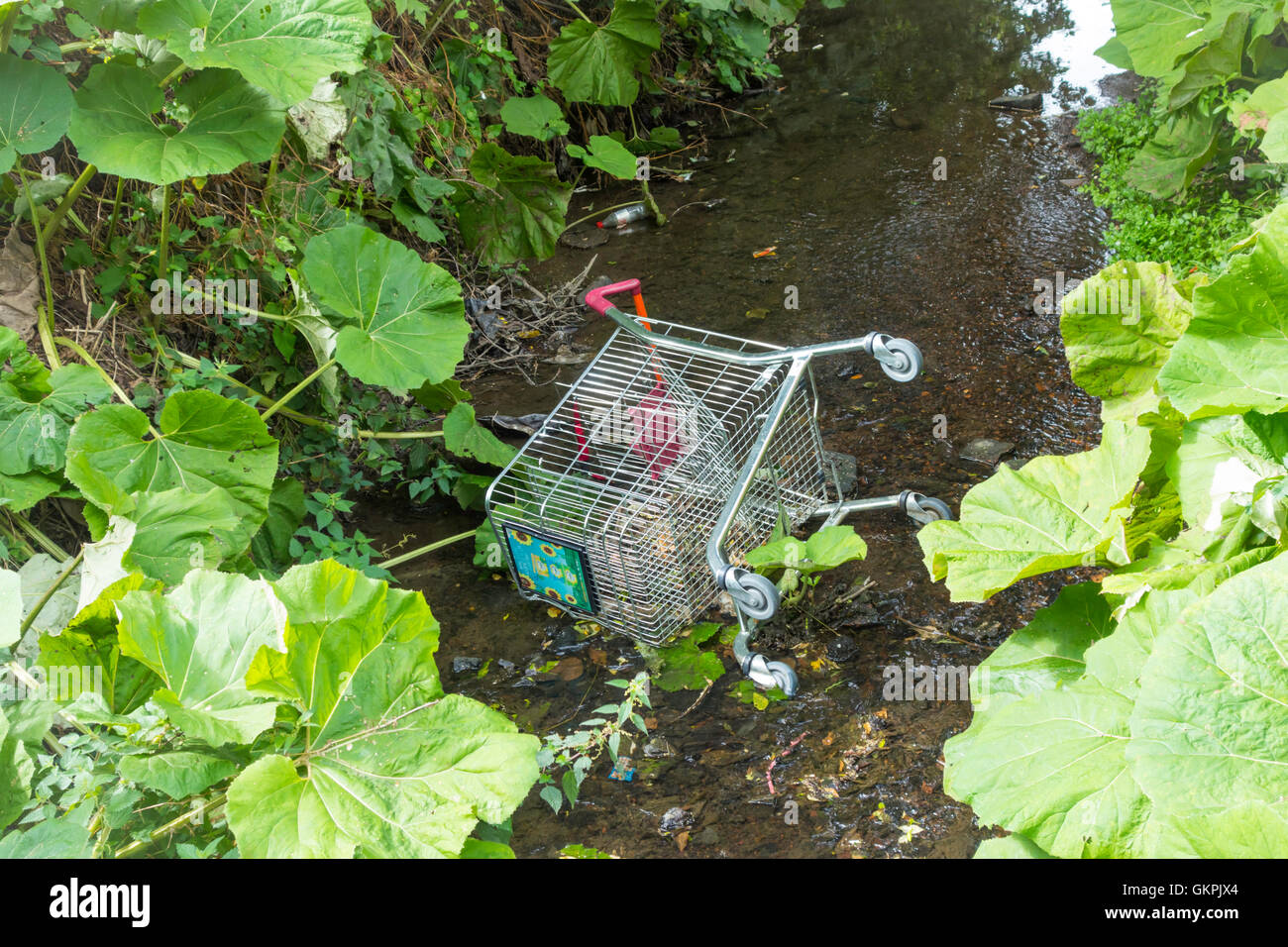 Ein Supermarkt Einkaufswagen in einem kleinen Bach geworfen Stockfoto