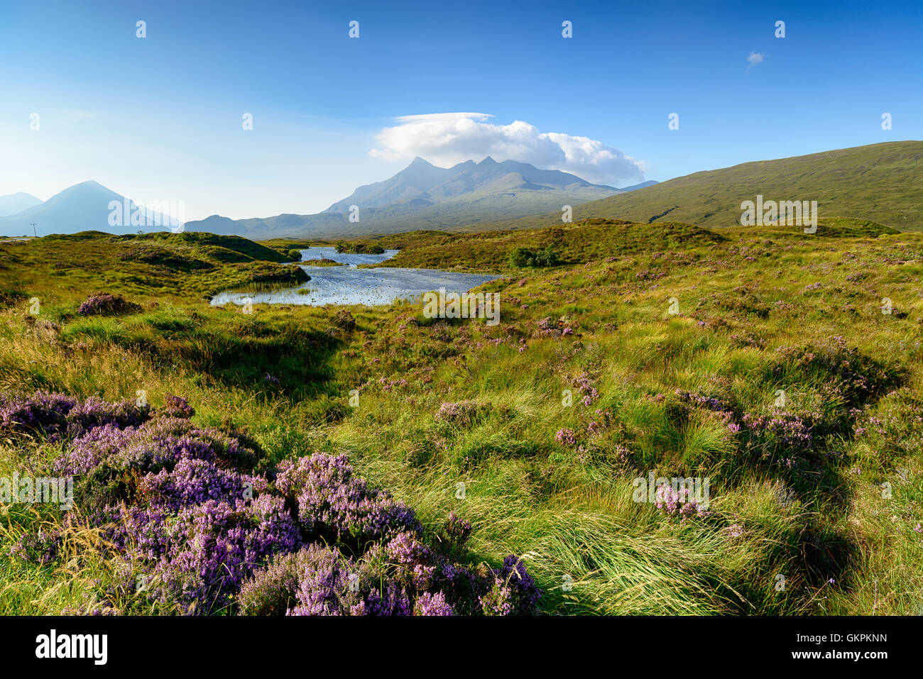 Moor und Heide auf der Isle Of Skye in Schottland mit der Cuillin-Bergkette im Hintergrund Stockfoto