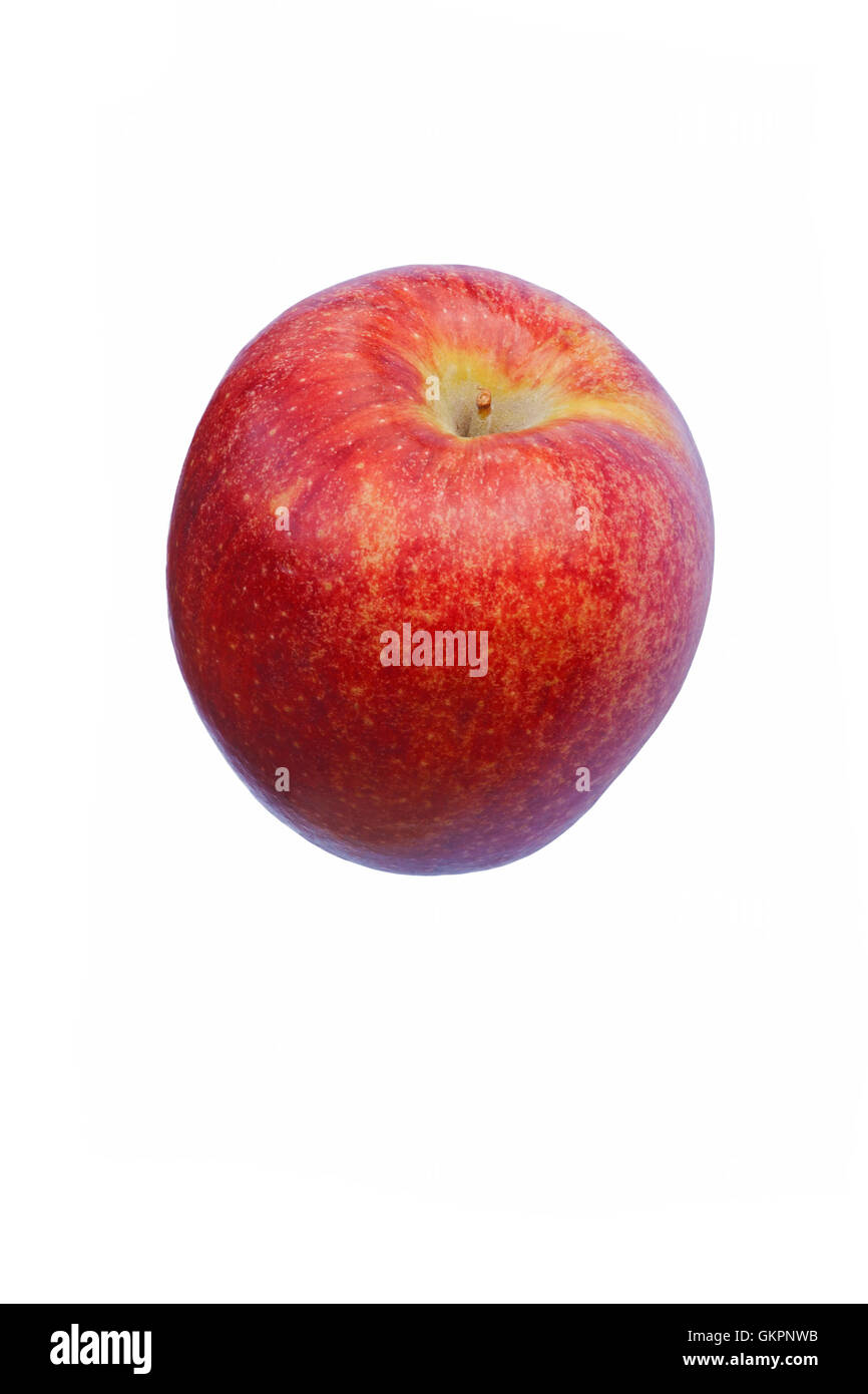 Scilate Apfel Stockfoto