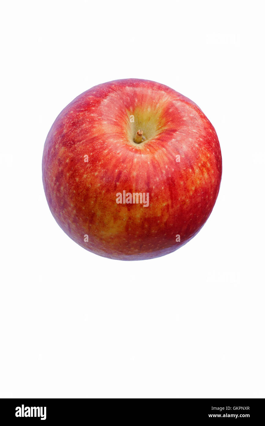 Scilate Apfel Stockfoto