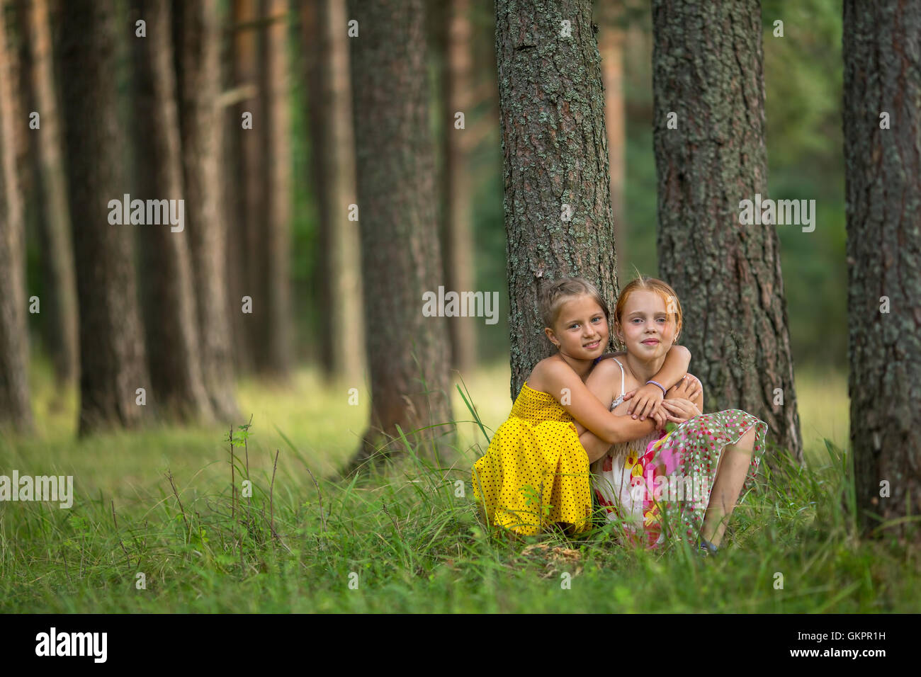 Zwei kleine süße Mädchen Freunde in einem Pinienwald. Stockfoto