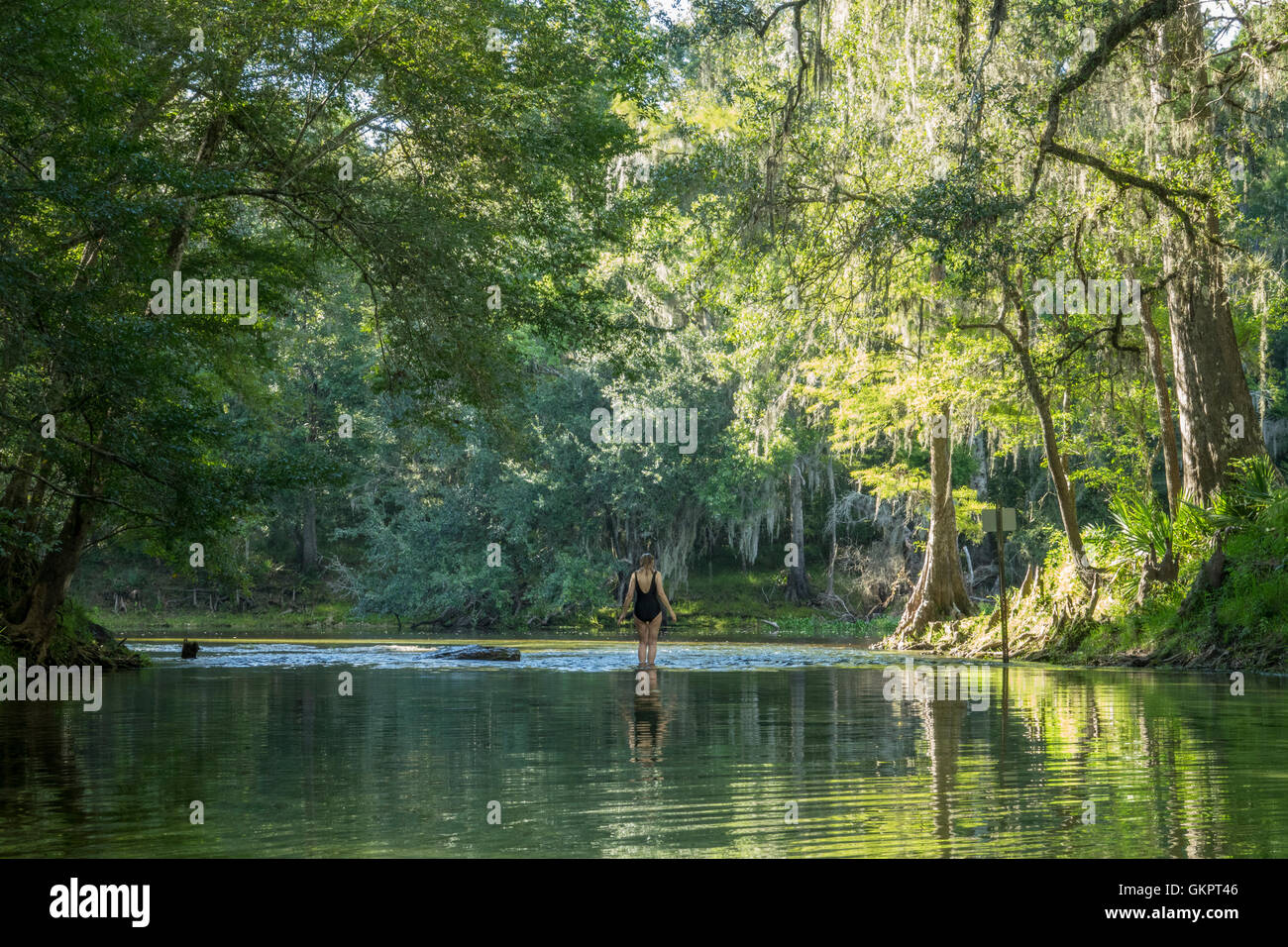 Reife Frau waten im Wasser trifft Poe Springs laufen Flusses Santa Fe, Gilchrist County, Florida Stockfoto