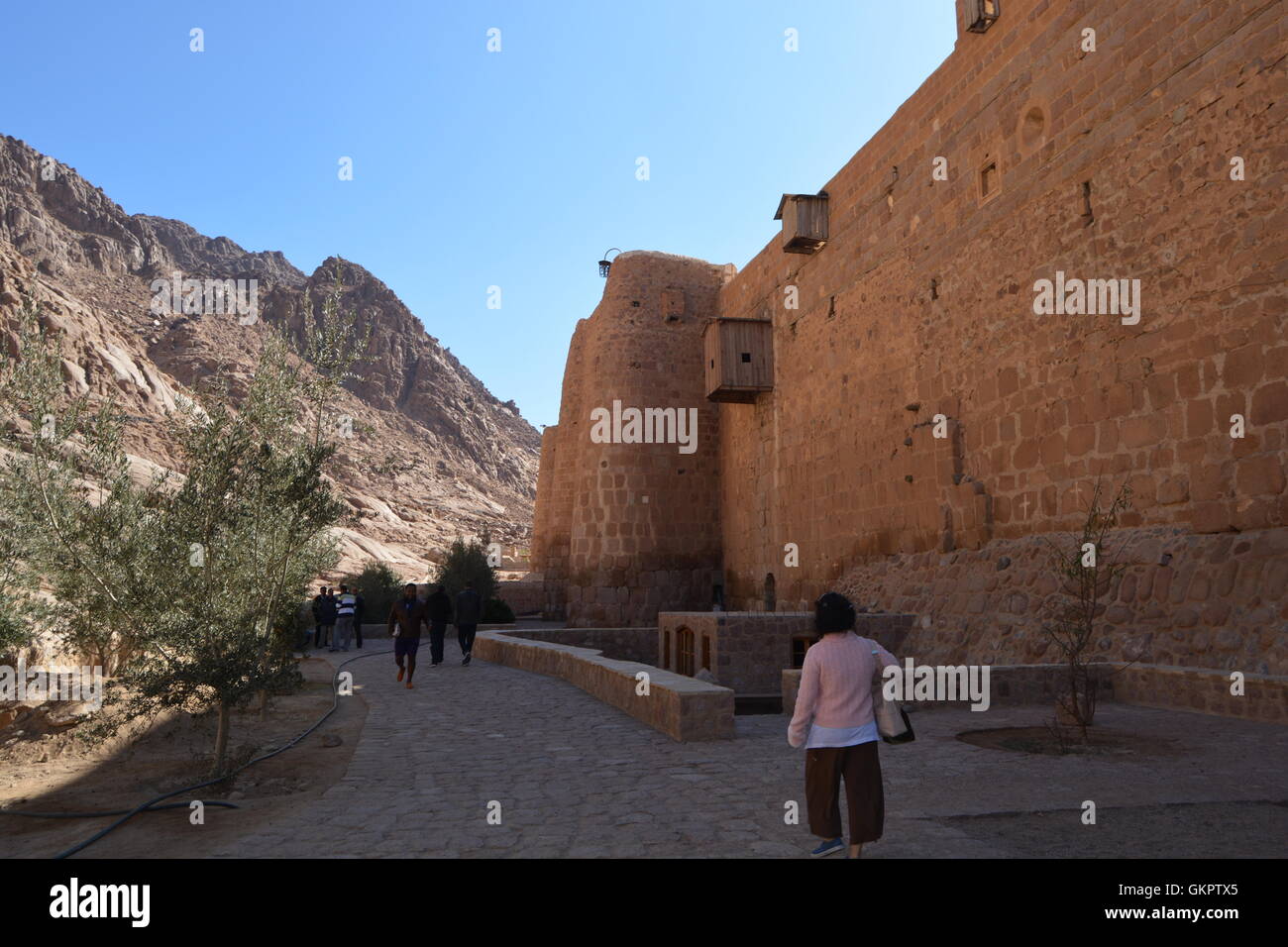 Kloster St. Catherines, Mt. Sinai, Ägypten Stockfoto