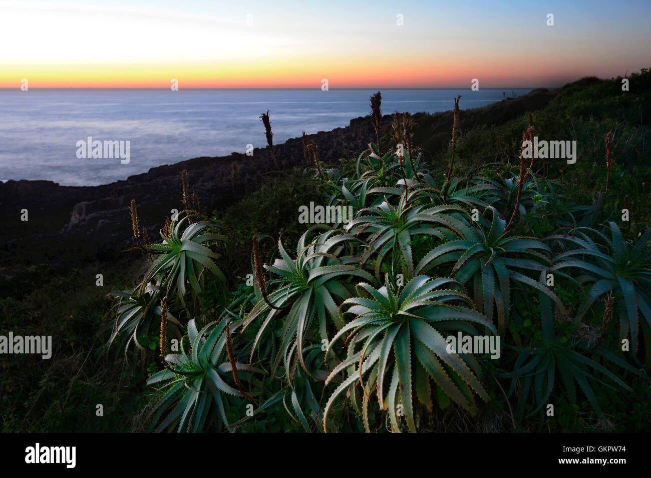 Ethereal Sonnenaufgang über dem Illawarra Küste, New South Wales, NSW, Australien Stockfoto