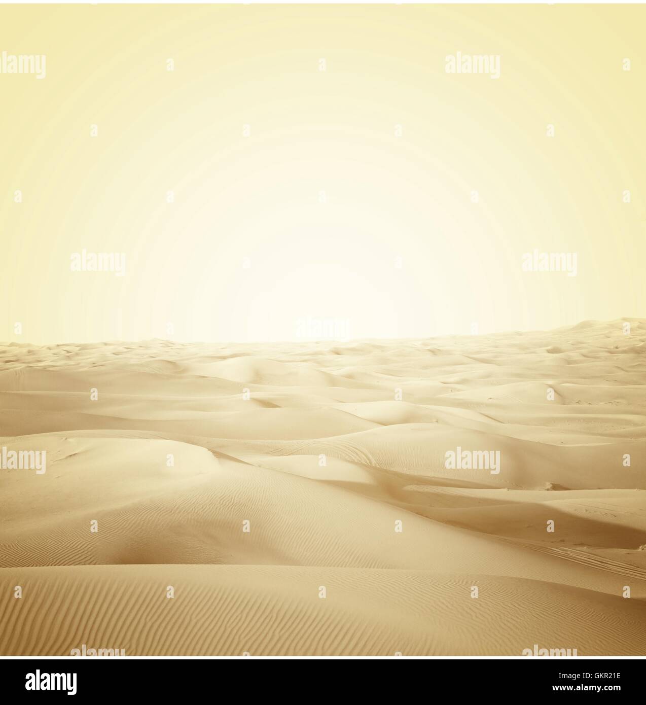 Dünen in der Wüste Stockfoto