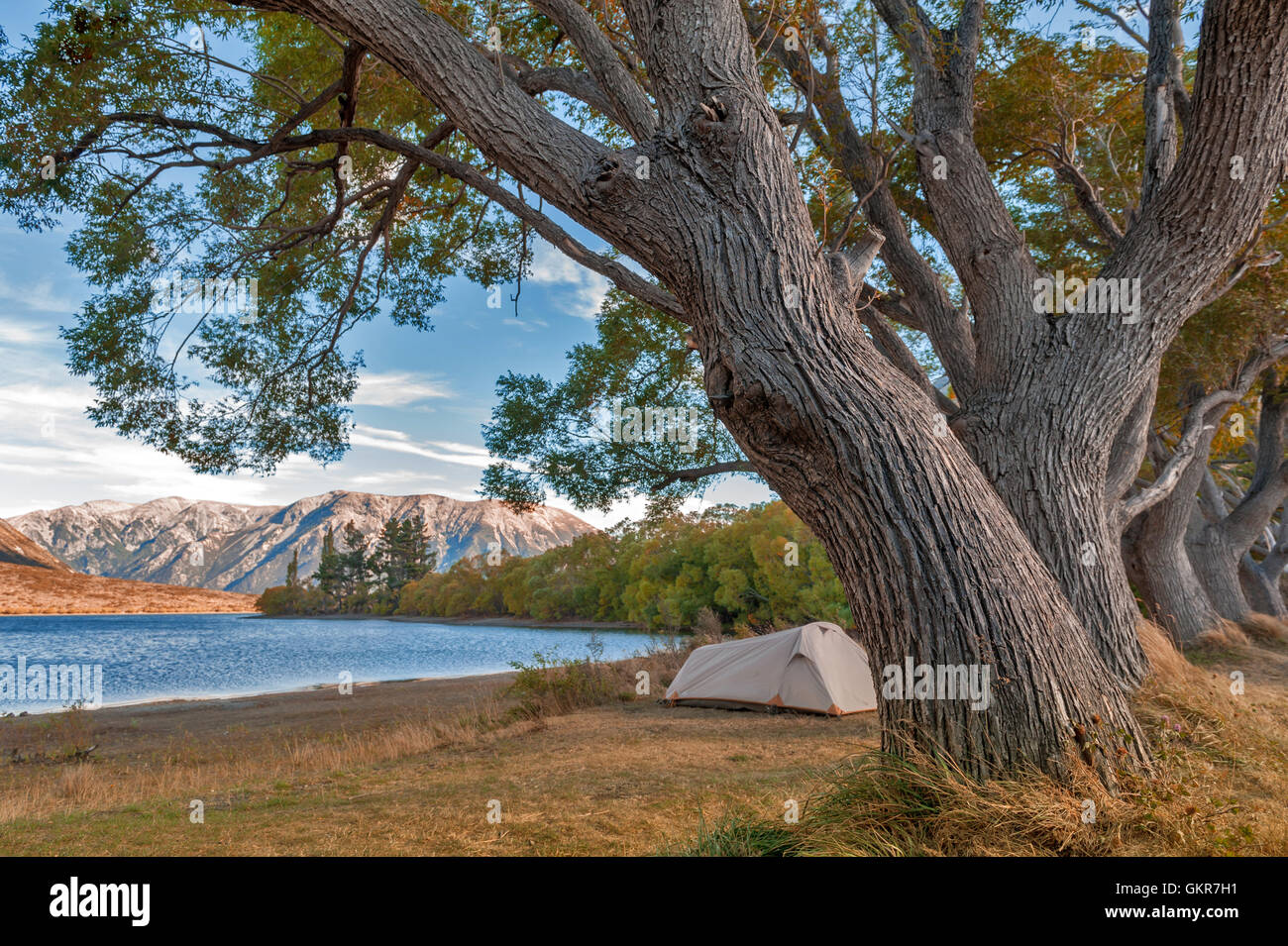 Campingplatz am See Pearson / Moana Rua Wildlife Refuge befindet sich im Craigieburn Forest Park in der Region Canterbury, Südinsel von Ne Stockfoto