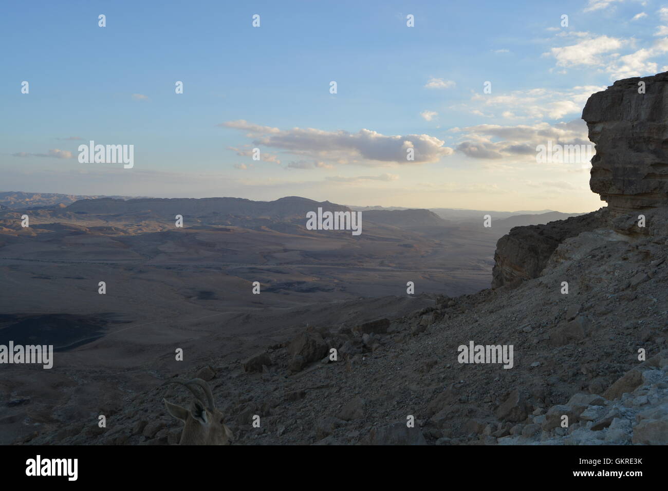 En Avdat Nationalpark, Israel Stockfoto