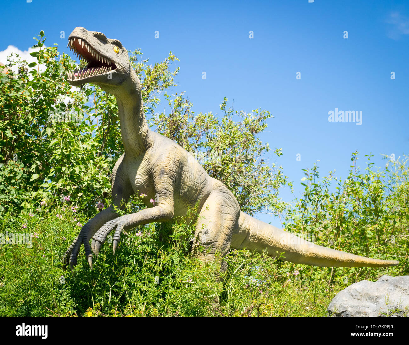 Ein Modell-Nachbau des Yangchuanosaurus, eine ausgestorbene Gattung der Metriacanthosaurid theropode Dinosaurier an der Calgary Zoo, Canada. Stockfoto