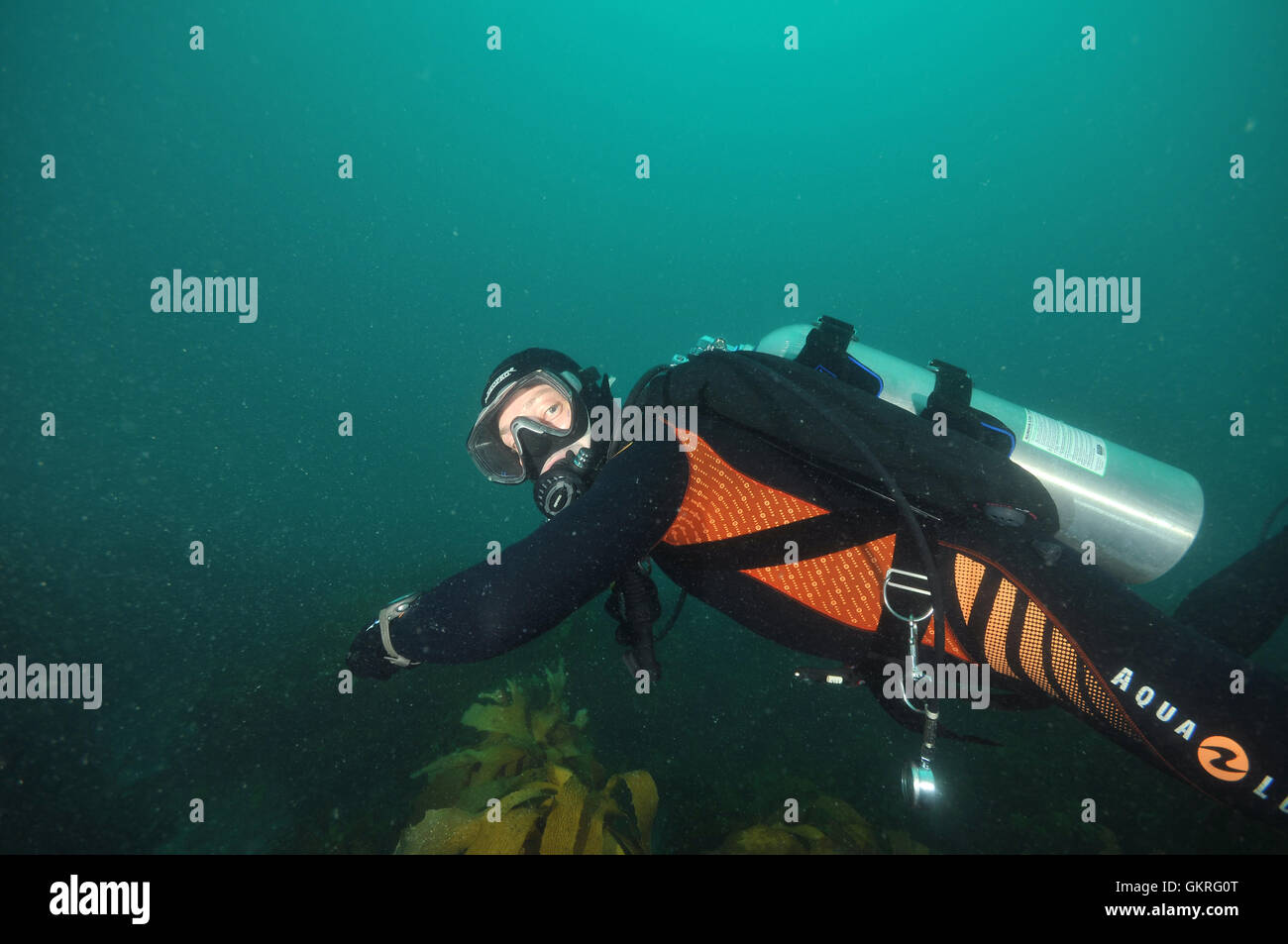 Scuba Diver Neoprenanzug unter Wasser Stockfoto