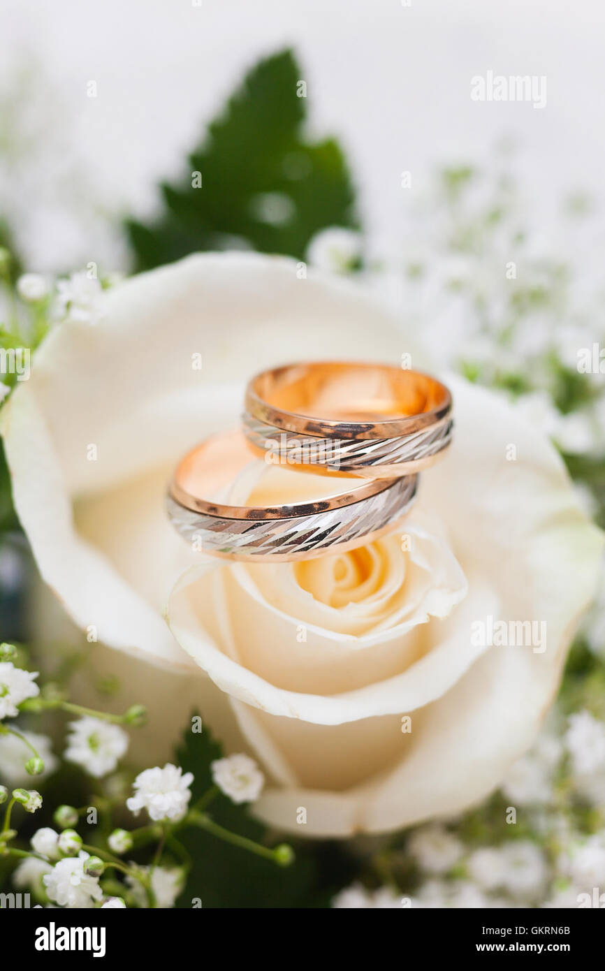 Trauringe Stockfoto
