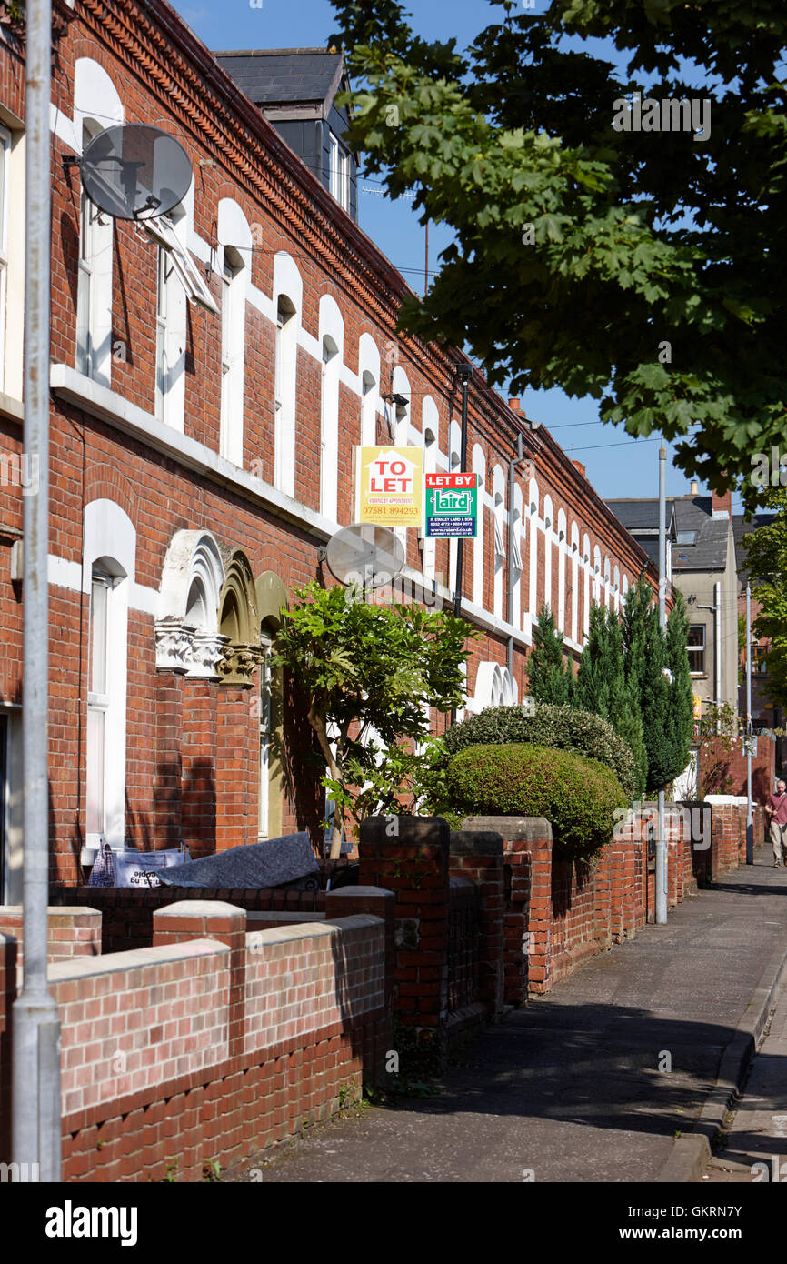 viktorianischen Reihenhaus Vermietung von Immobilien im Bereich Student Holylands von belfast Stockfoto