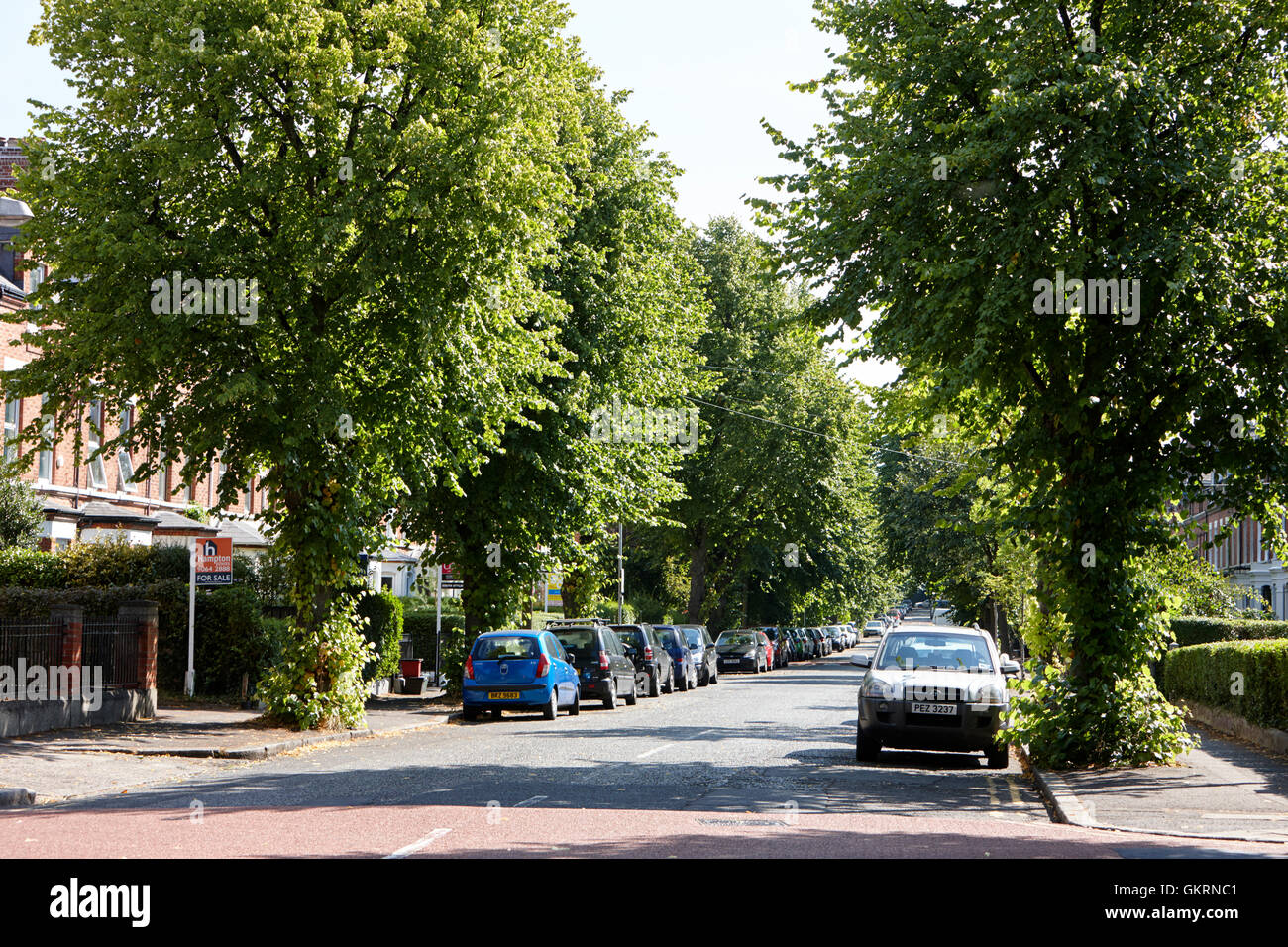 von Bäumen gesäumten North Parade in wohlhabenden Ormeau Road-Bereich von South Belfast Nordirland Stockfoto