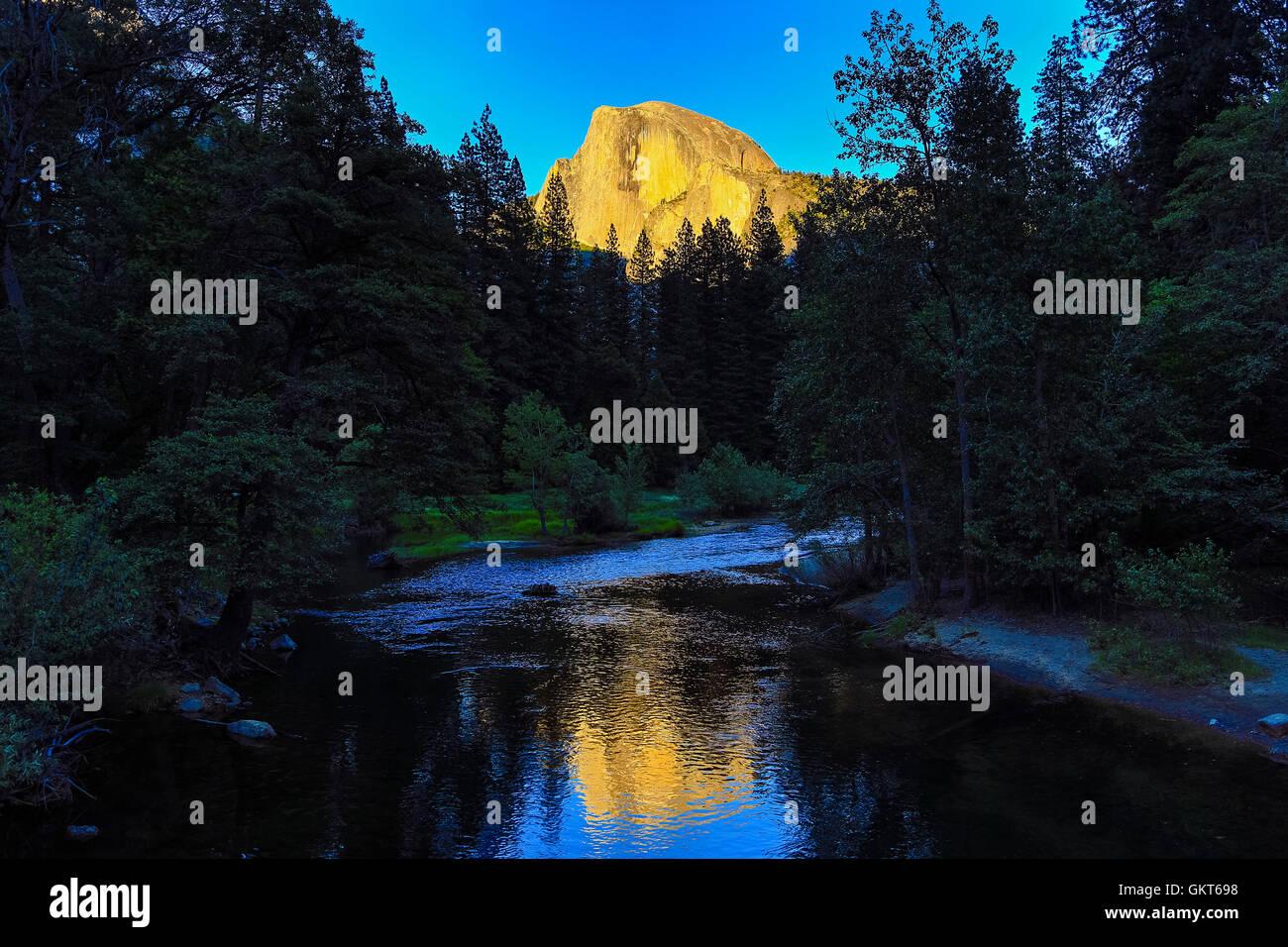 In diesem späten Nachmittag erschossen spiegelt ikonischen Half Dome in Merced River im Yosemite National Park, Kalifornien. Stockfoto