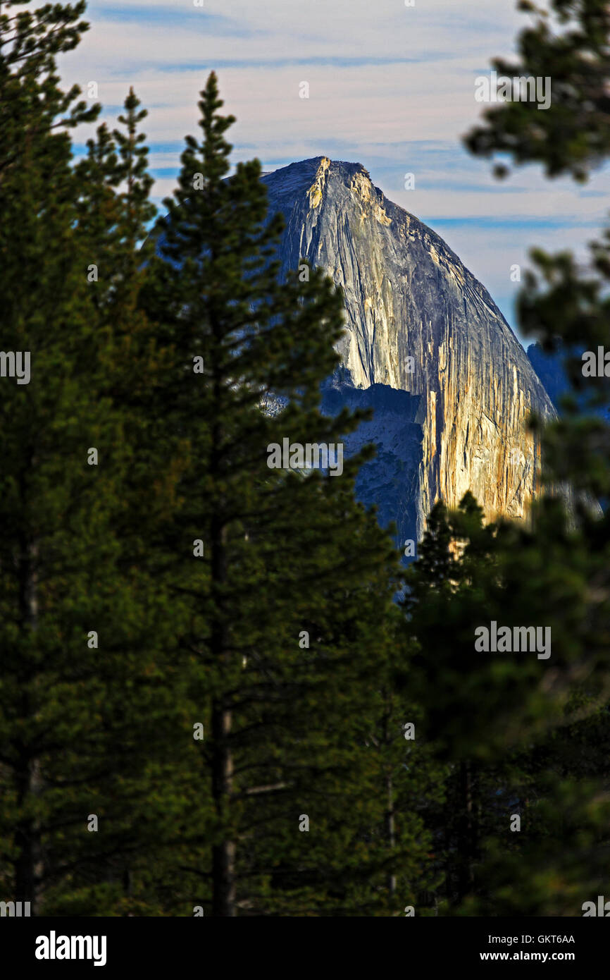 Dies ist eine vertikale Ansicht des Half Dome in der späten Nachmittagssonne in Yosemite Nationalpark, Kalifornien, USA Stockfoto