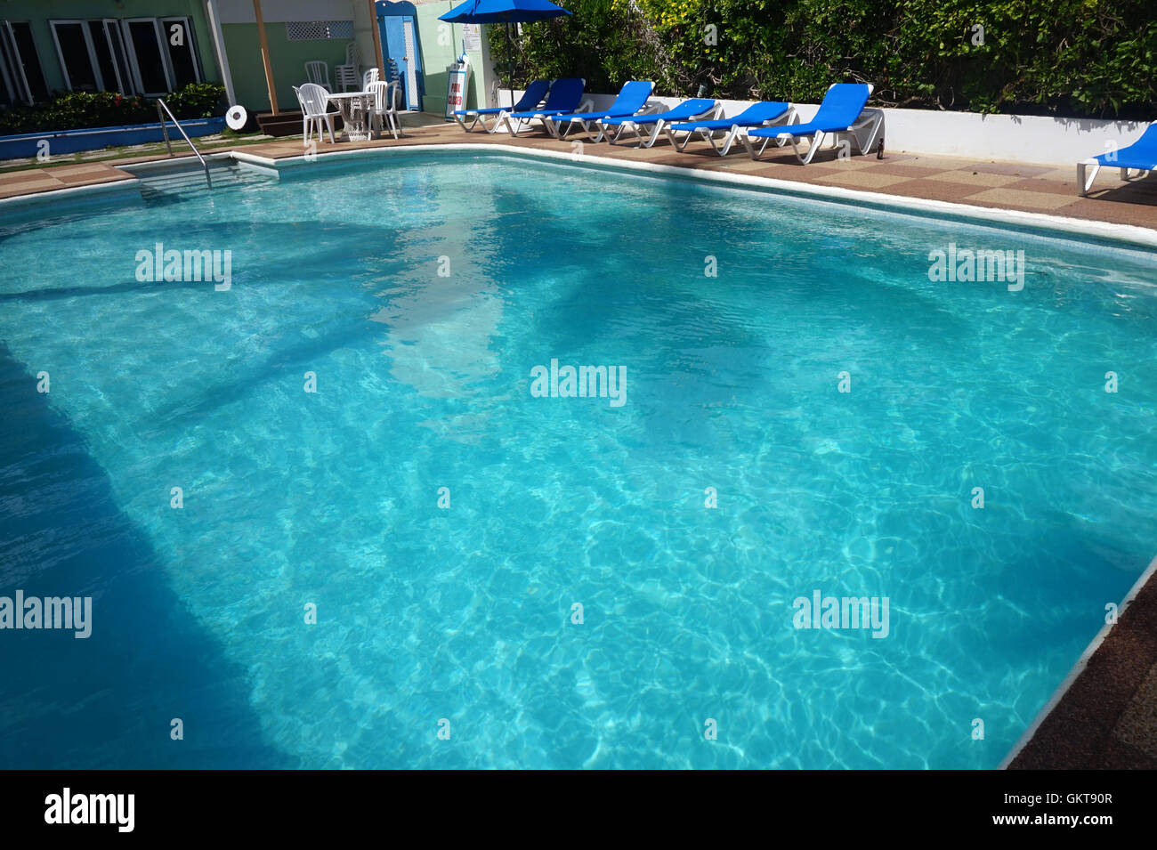 Einen blauen Swimmingpool mit Liegestühlen und den Schatten einer Palme am Dover Beach Hotel, St. Lawrence Gap, Christ Church, Barbados Stockfoto